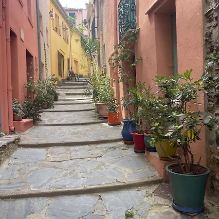Jolie Maison Au Centre - 100m A Pied De La Holiday home *